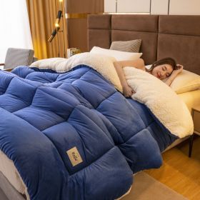 Thickened Milk Fiber Quilt Double-sided Velvet Warm Thickened Duvet Insert (Option: Blue-150x200cm 2500g)